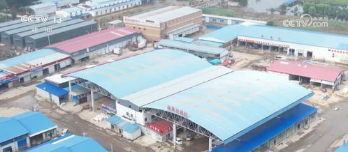 河北涿州最大农产品批发市场恢复营业，灾后生产生活逐步回暖